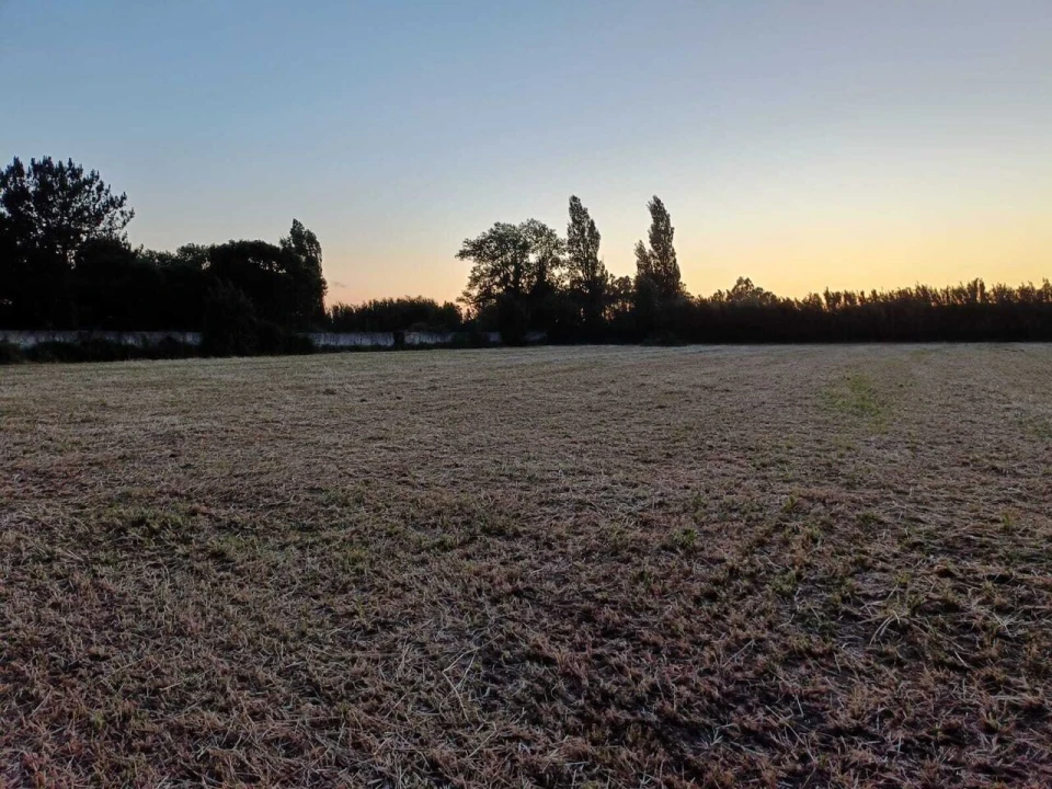 Terreno para Venda em Alfeizerão Foto 1