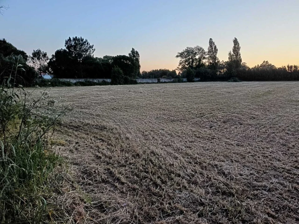 Terreno para Venda em Alfeizerão Foto 2