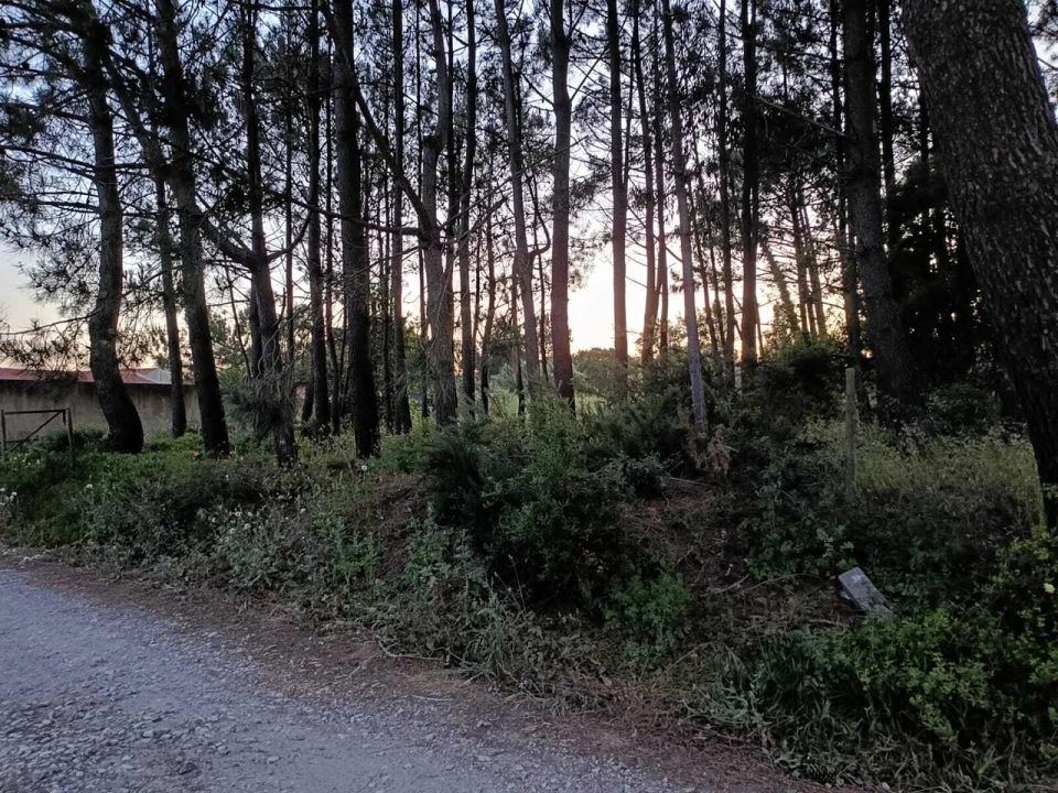 Terreno para Venda em Alfeizerão Foto 6