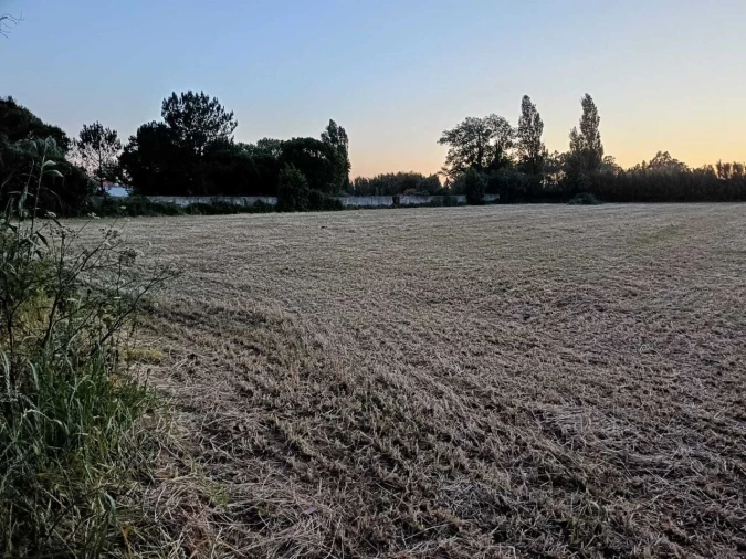 Terreno para Venda em Alfeizerão Foto 2