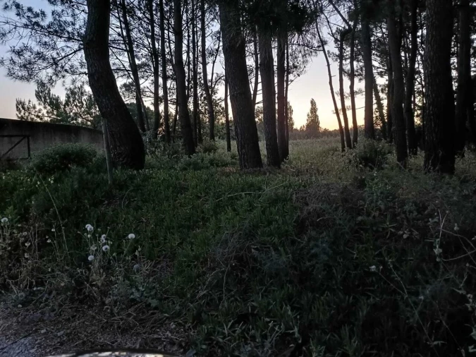 Terreno para Venda em Alfeizerão Foto 5
