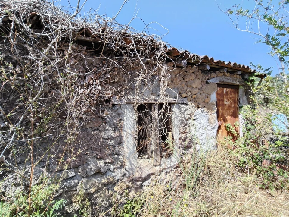 Moradia T3 para Venda em Maçãs de D. Maria Foto 47