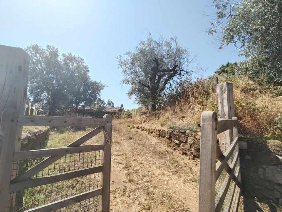 Moradia T3 para Venda em Maçãs de D. Maria Foto 6