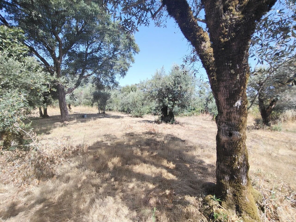 Moradia T3 para Venda em Maçãs de D. Maria Foto 53