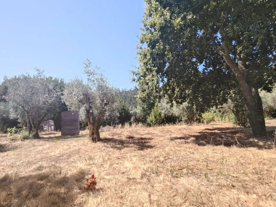 Moradia T3 para Venda em Maçãs de D. Maria Foto 56