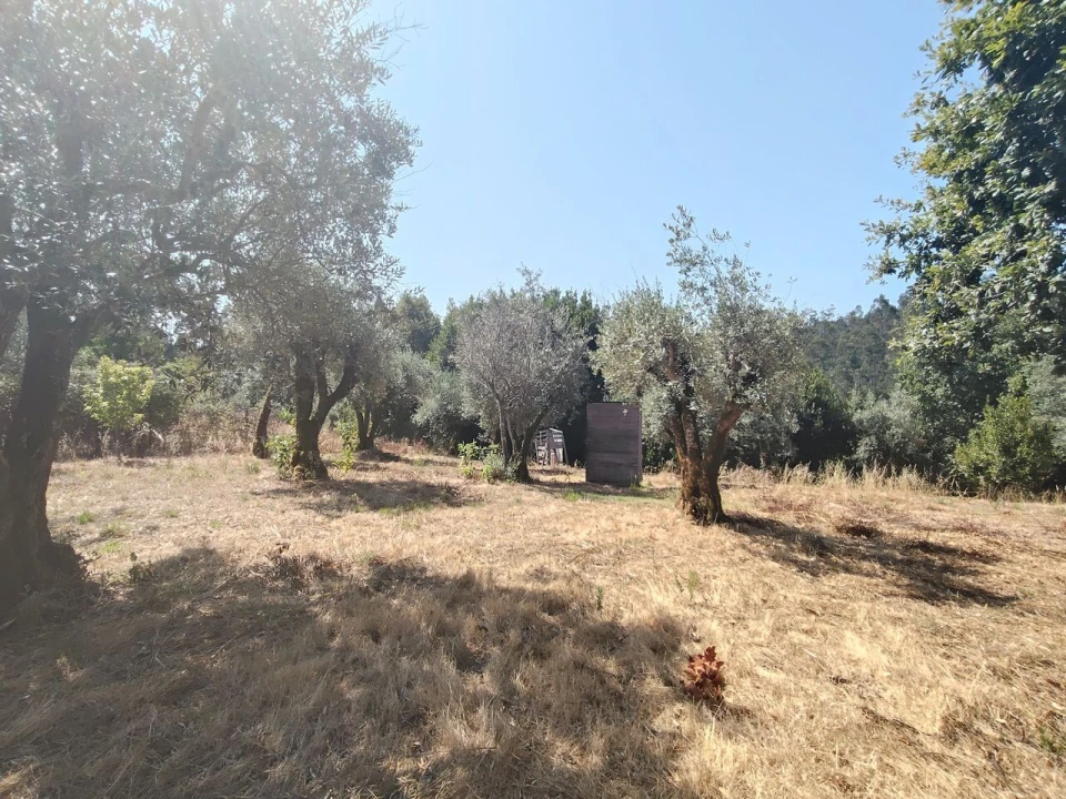 Moradia T3 para Venda em Maçãs de D. Maria Foto 57