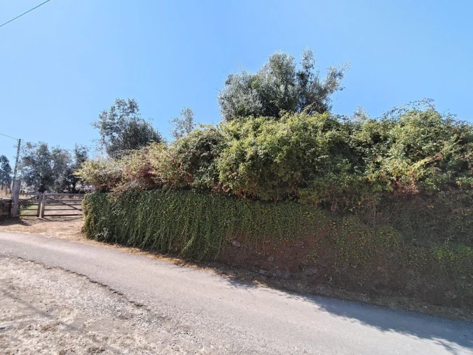 Moradia T3 para Venda em Maçãs de D. Maria Foto 60