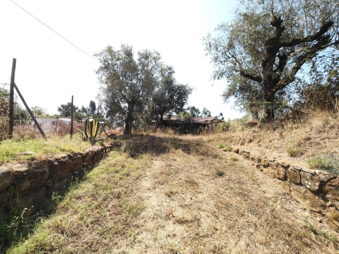 Moradia T3 para Venda em Maçãs de D. Maria Foto 7