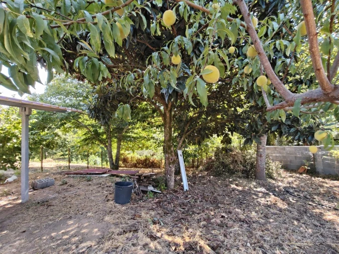 Moradia T3 para Venda em Maçãs de D. Maria Foto 44