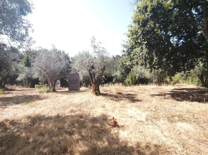 Moradia T3 para Venda em Maçãs de D. Maria Foto 51