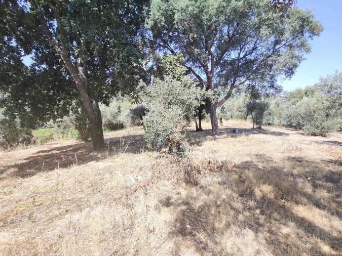 Moradia T3 para Venda em Maçãs de D. Maria Foto 55