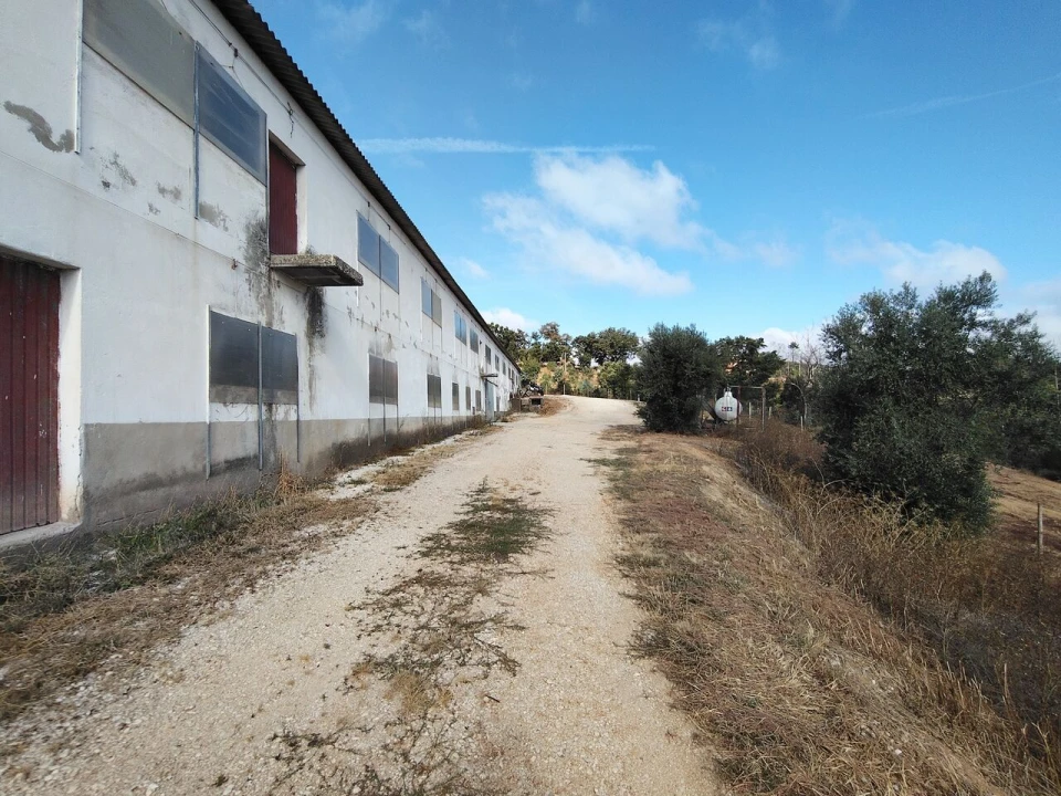 Armazém para Venda em Abiul Foto 2