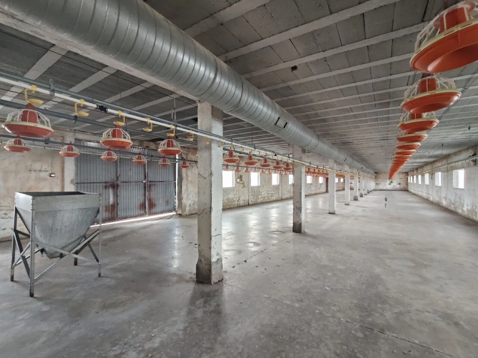 Armazém para Venda em Abiul Foto 19