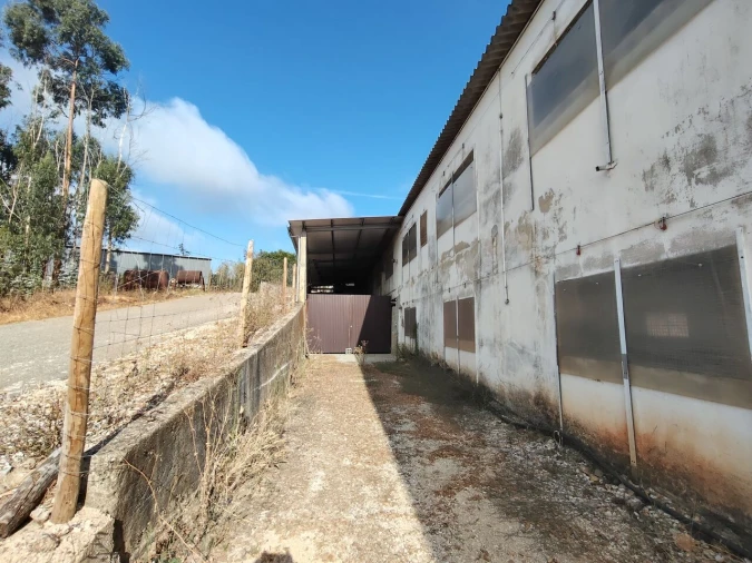 Armazém para Venda em Abiul Foto 10