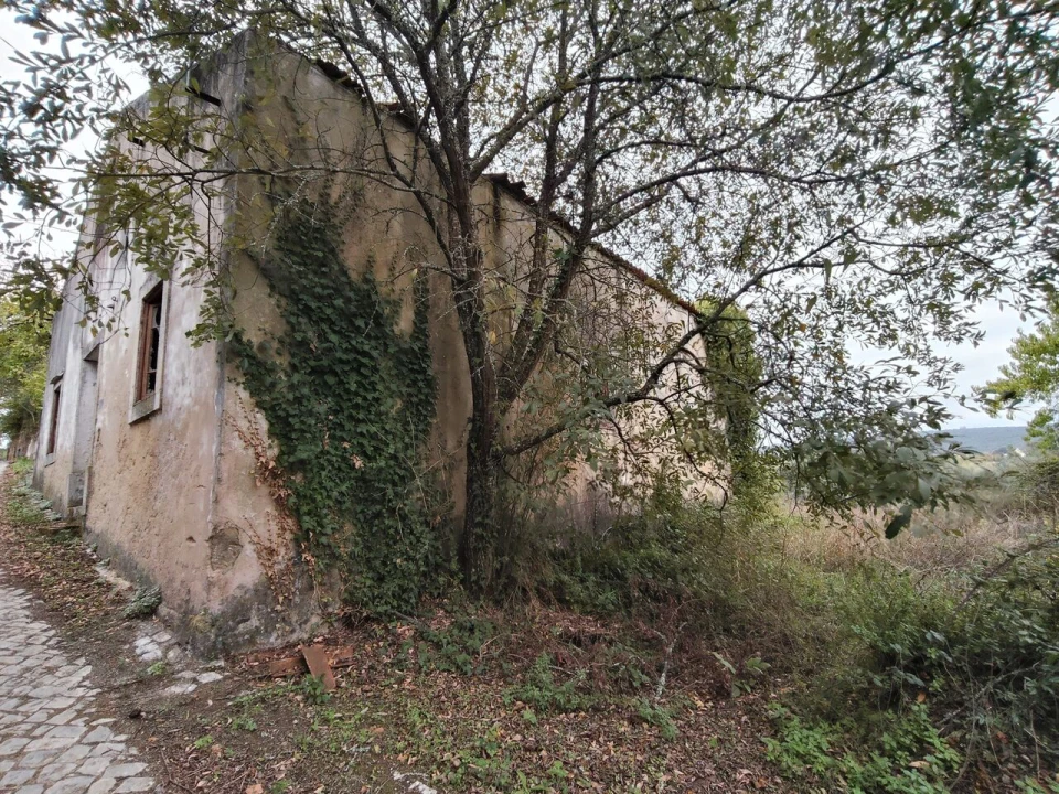 Moradia T3 para Venda em Ansião Foto 3