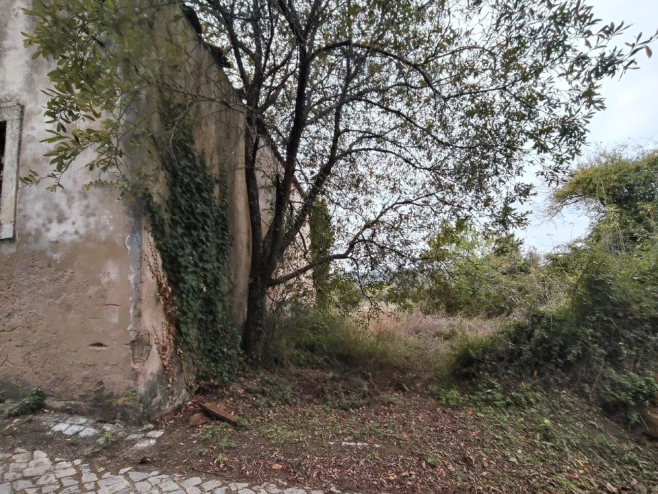 Moradia T3 para Venda em Ansião Foto 5