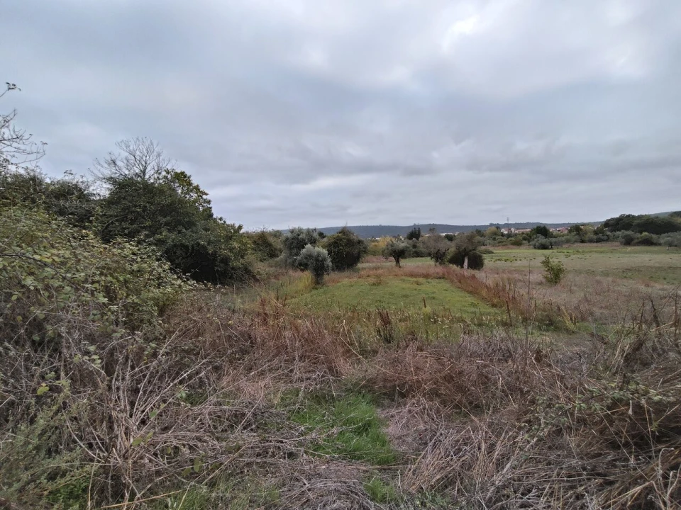 Moradia T3 para Venda em Ansião Foto 25