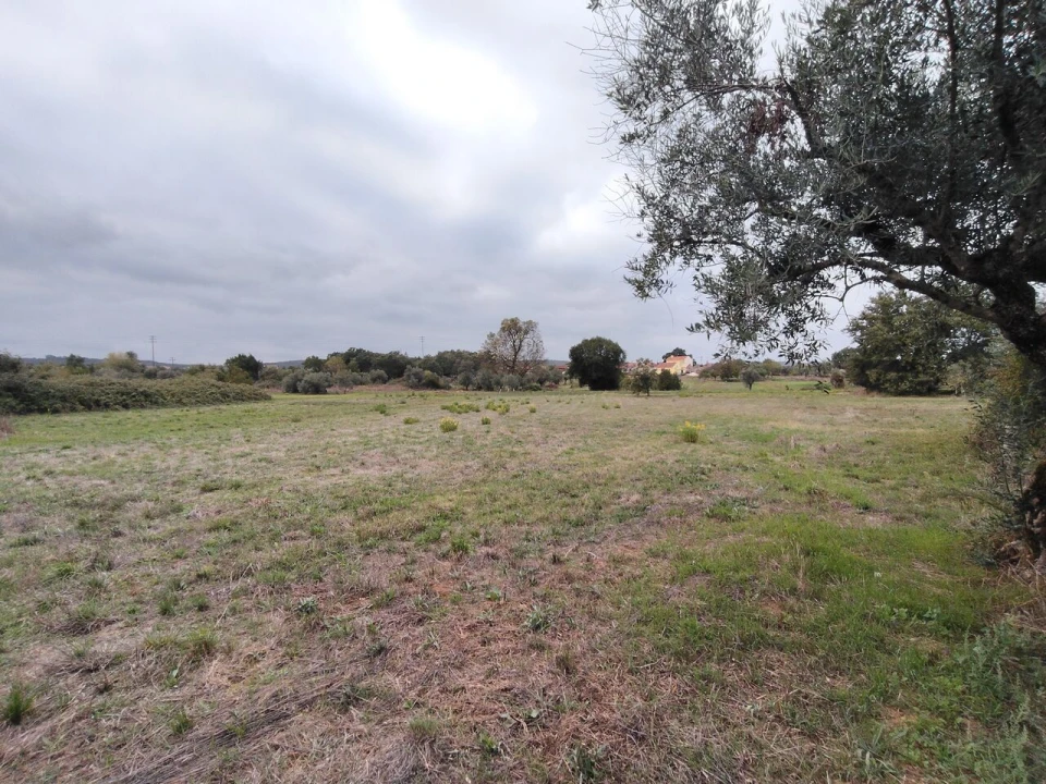 Moradia T3 para Venda em Ansião Foto 31