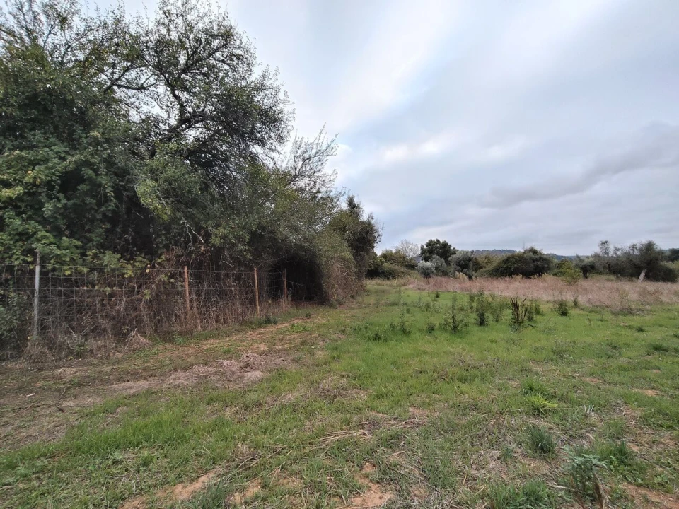 Moradia T3 para Venda em Ansião Foto 35