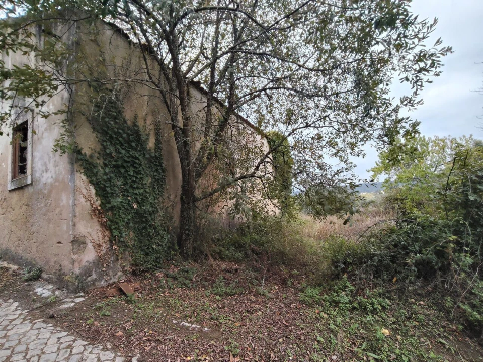 Moradia T3 para Venda em Ansião Foto 4