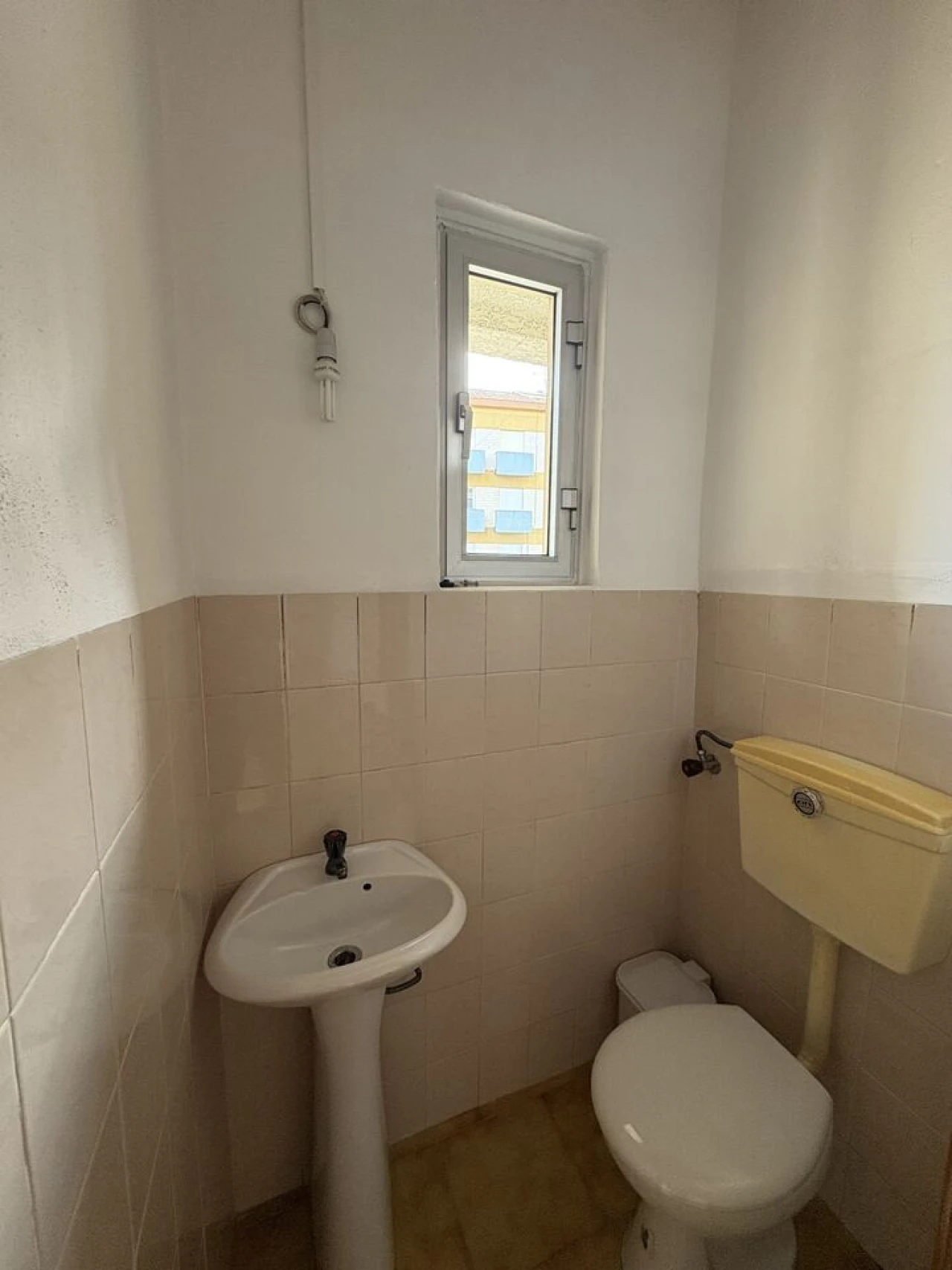 Loja para Venda em Pombal Foto 9