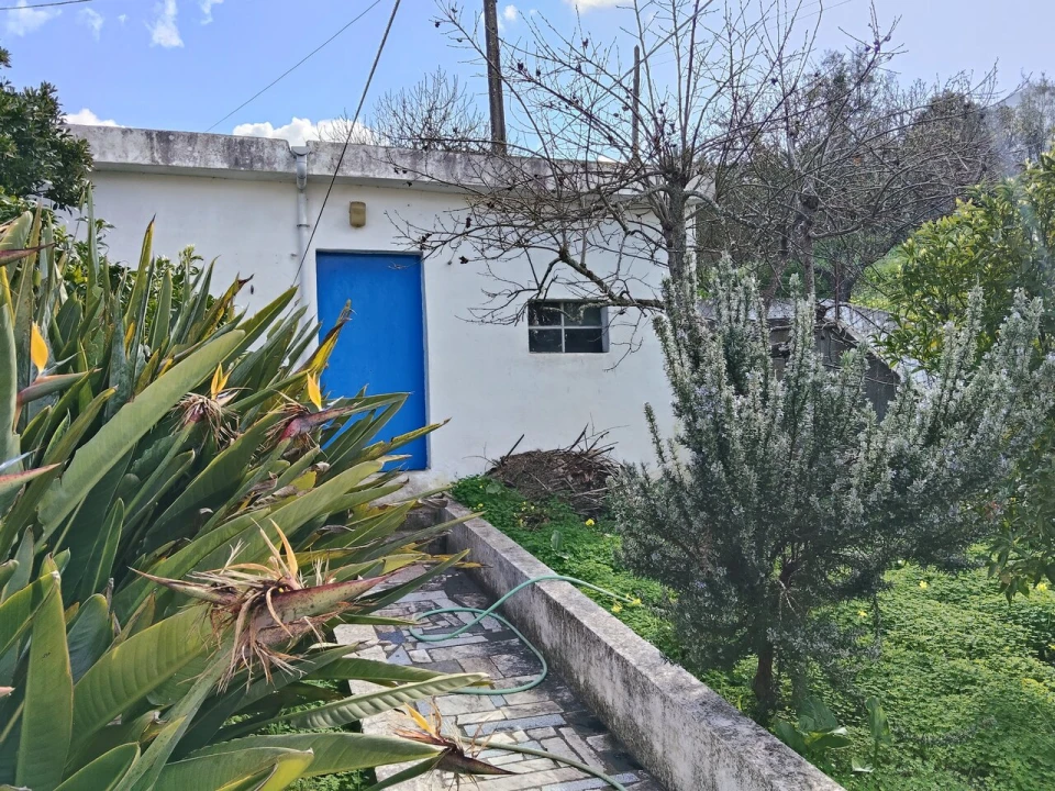 Moradia T4 para Venda em São Martinho das Amoreiras Foto 34