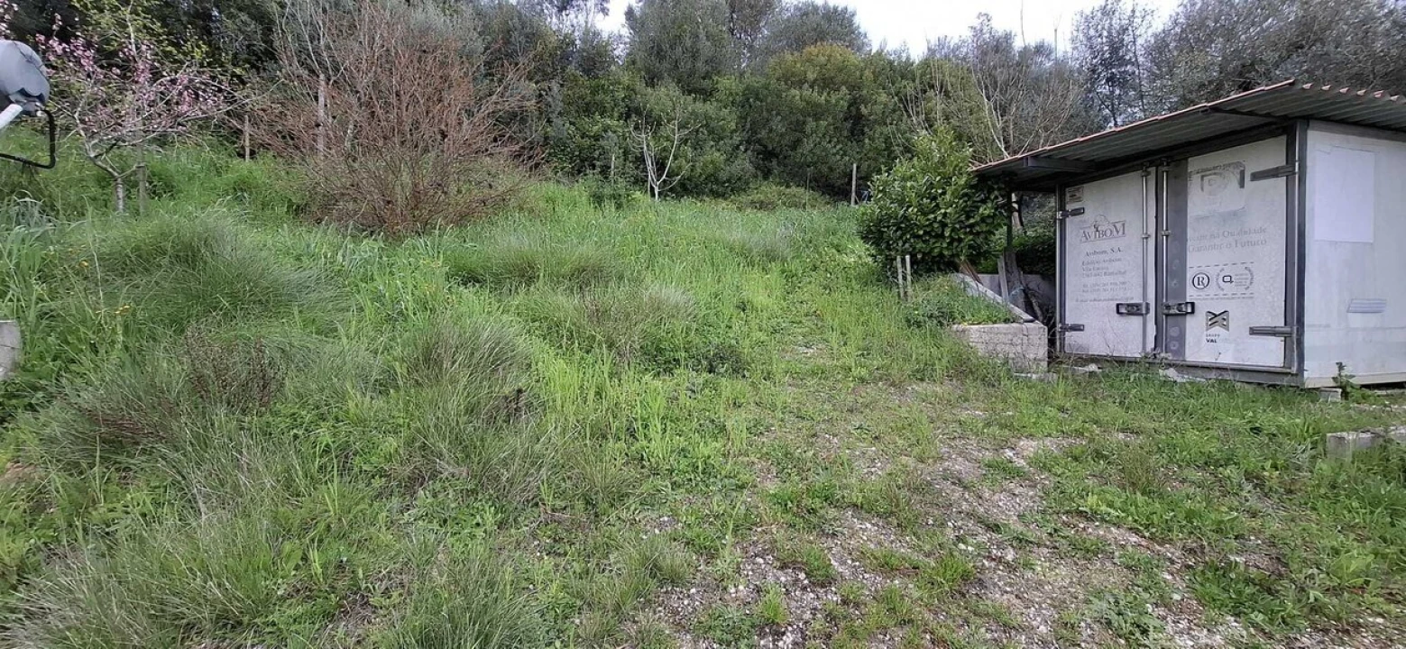 Terreno para Venda em Almoster Foto 4