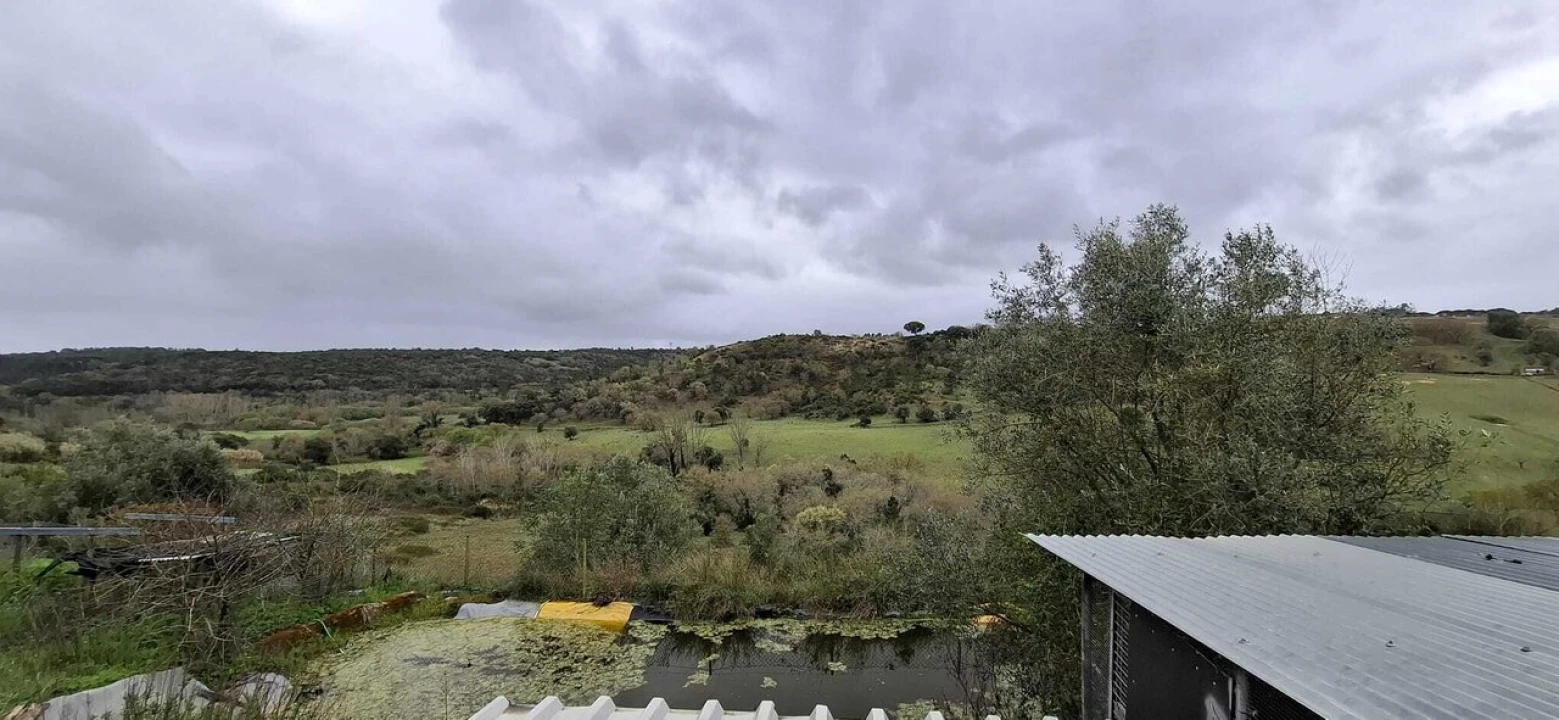 Terreno para Venda em Almoster Foto 6