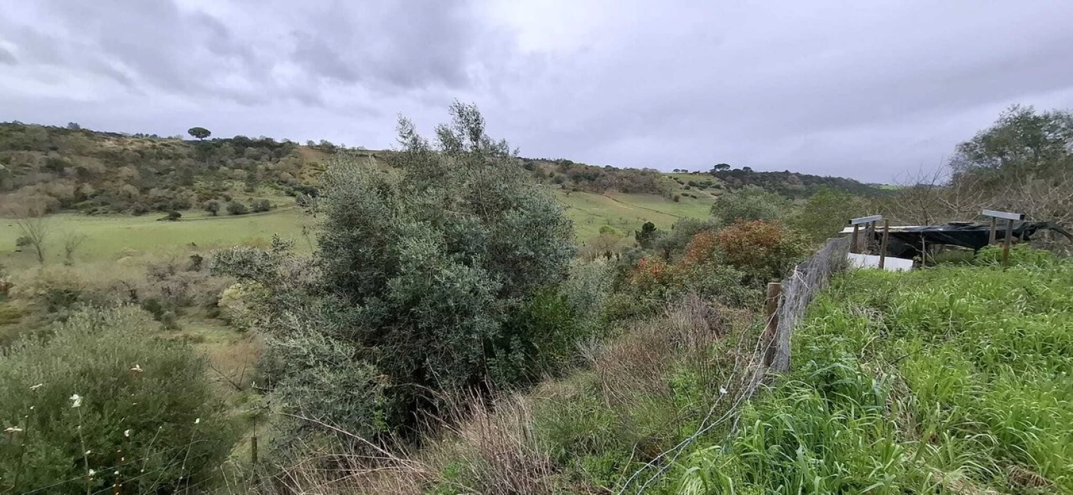 Terreno para Venda em Almoster Foto 11