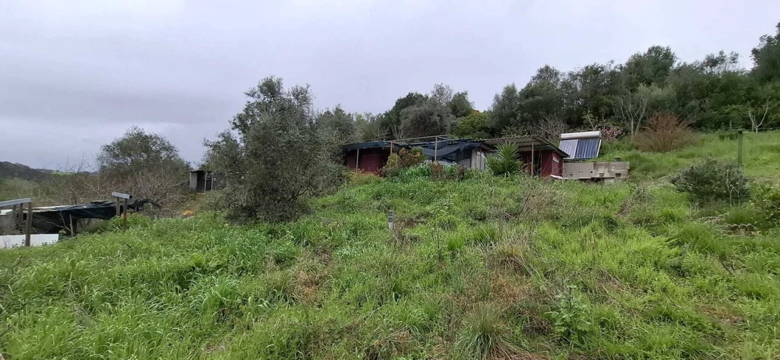 Terreno para Venda em Almoster Foto 14