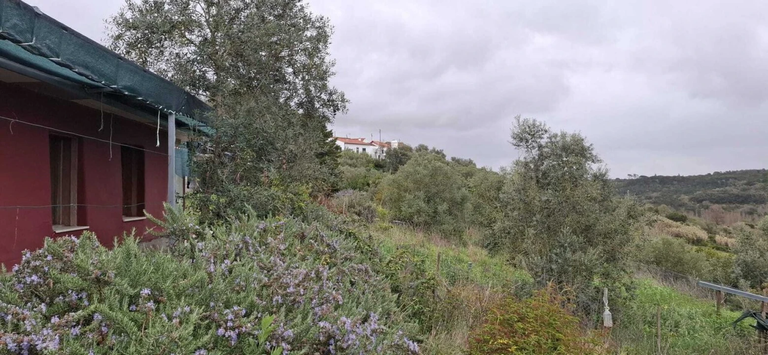 Terreno para Venda em Almoster Foto 21