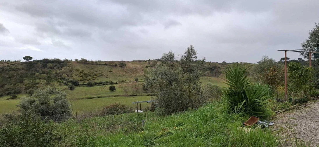Terreno para Venda em Almoster Foto 3
