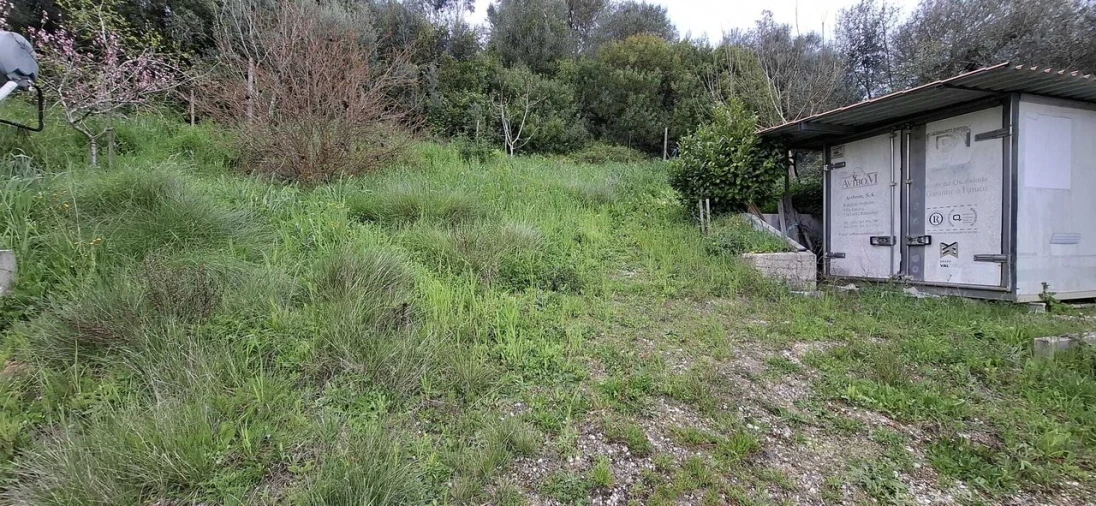 Terreno para Venda em Almoster Foto 4