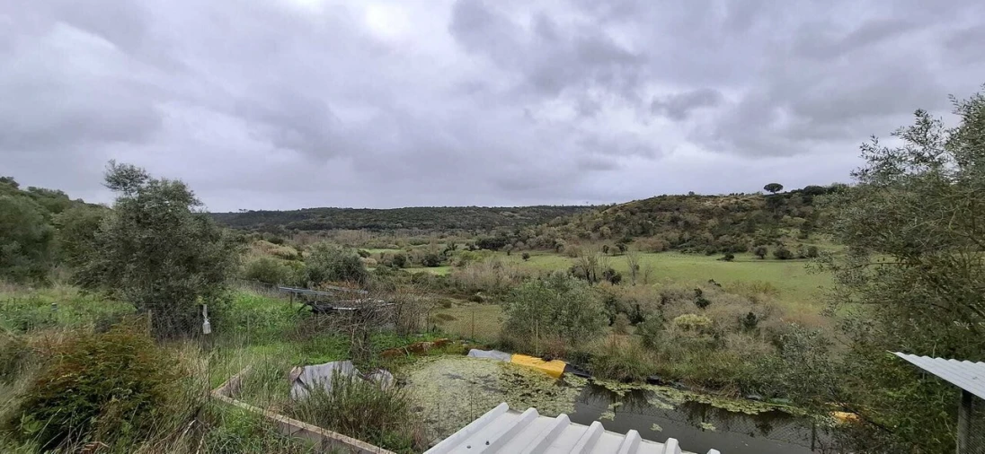 Terreno para Venda em Almoster Foto 7