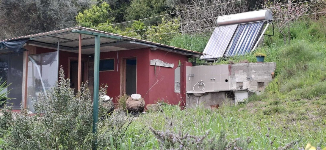 Terreno para Venda em Almoster Foto 12