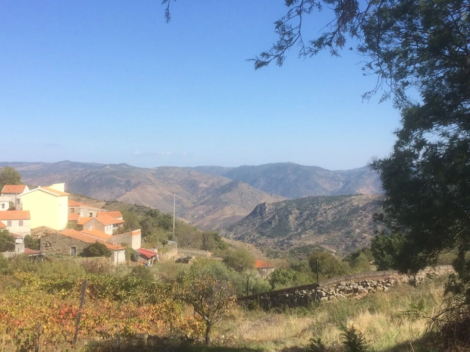 Moradia T4 para Venda em Custoias Foto 8