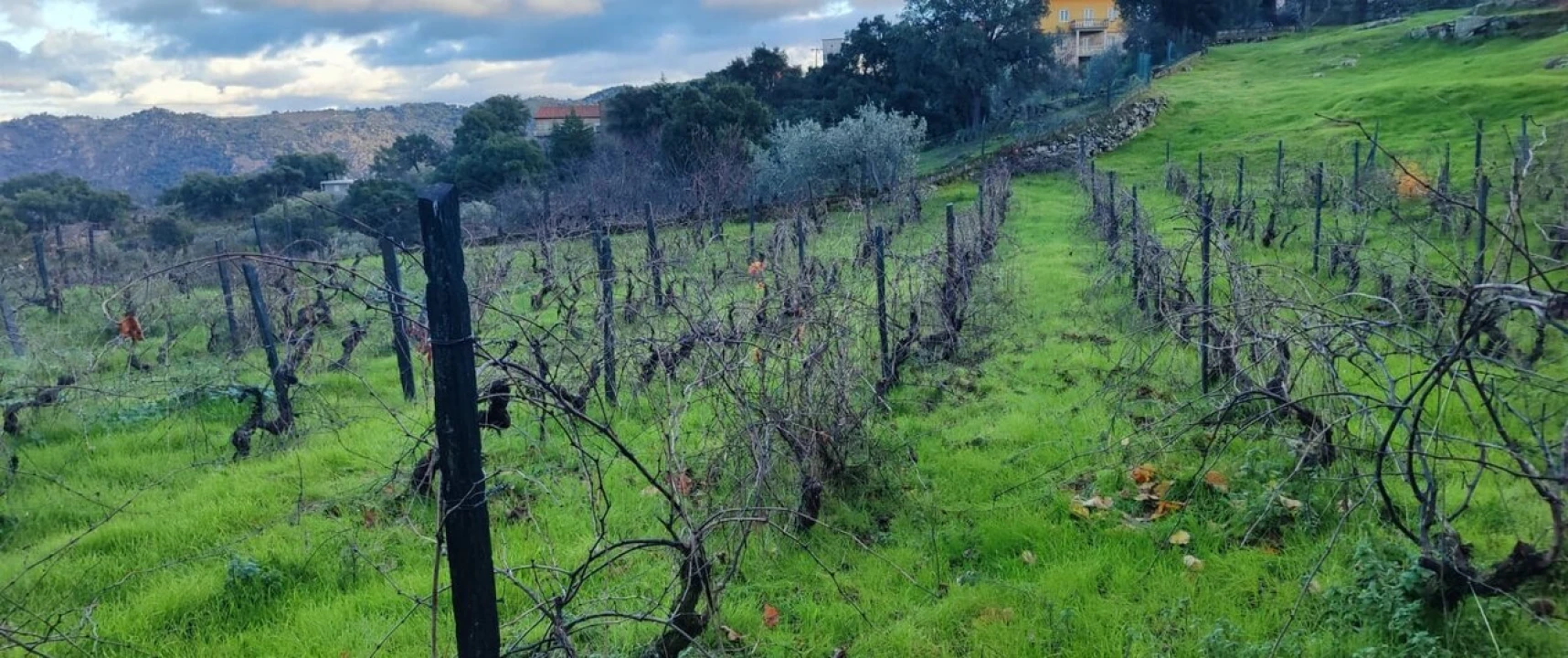 Moradia T4 para Venda em Custoias Foto 22