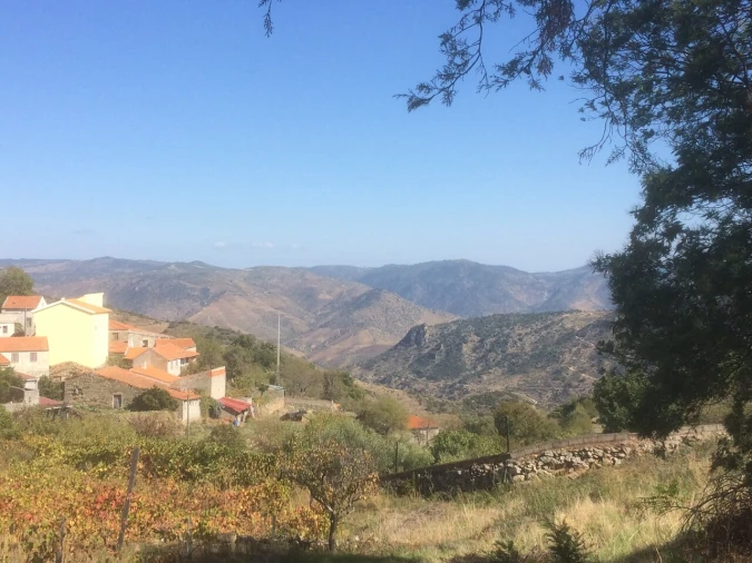 Moradia T4 para Venda em Custoias Foto 8