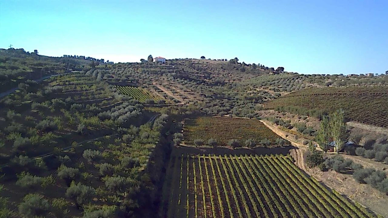 Terreno para Venda em Cedovim Foto 1