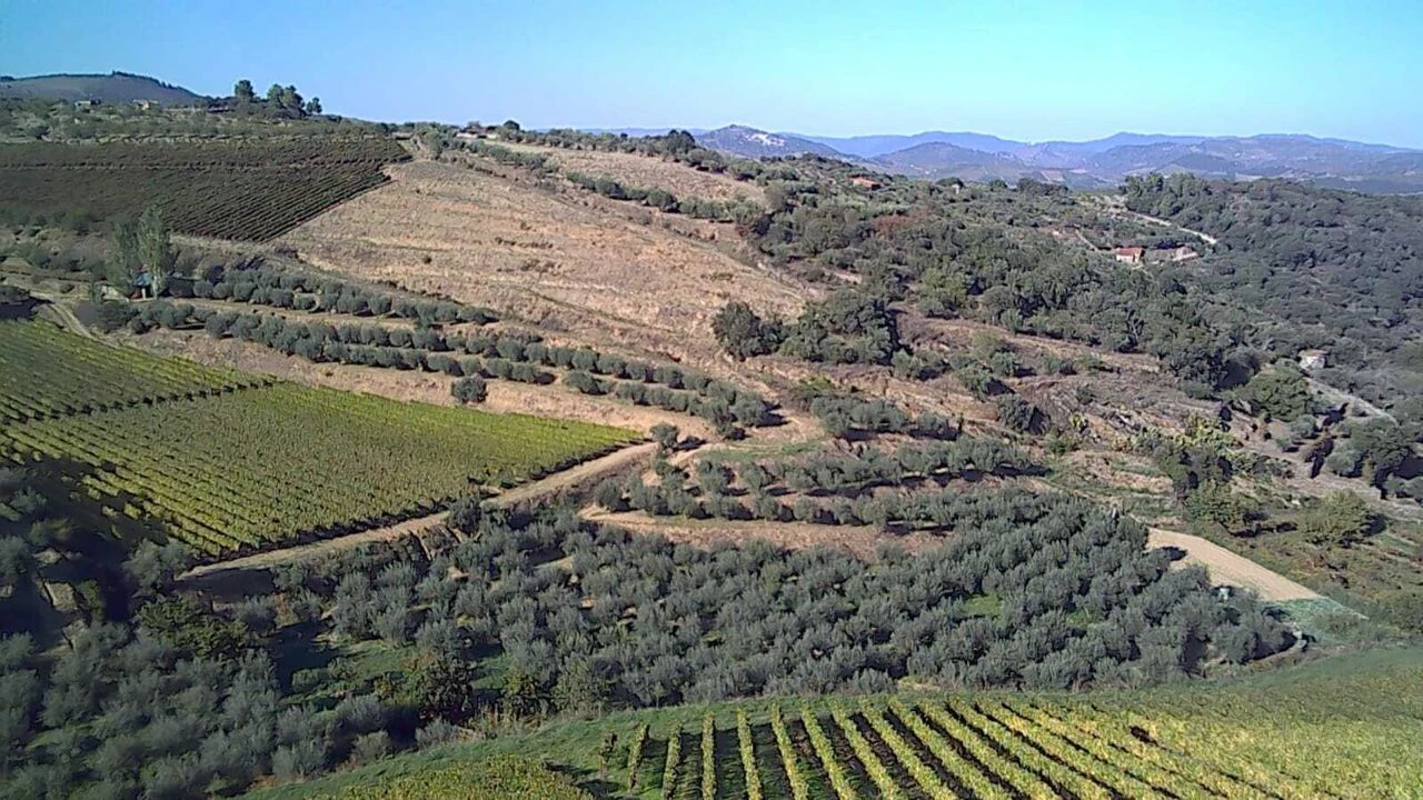 Terreno para Venda em Cedovim Foto 2