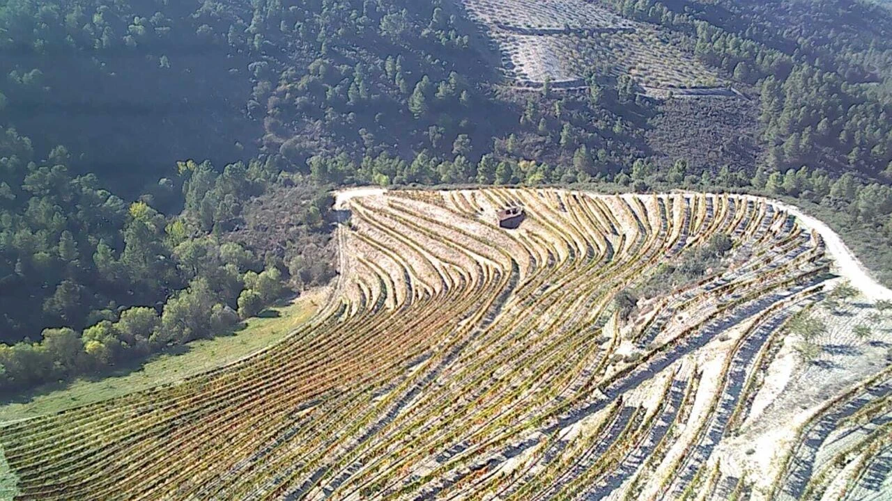 Terreno para Venda em Cedovim Foto 3