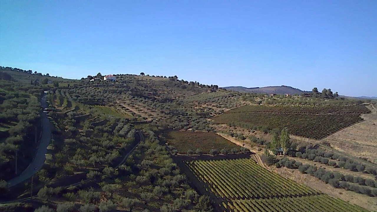 Terreno para Venda em Cedovim Foto 6