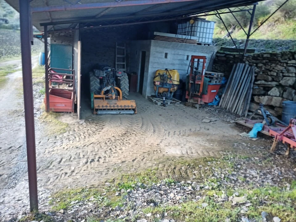 Terreno para Venda em Cedovim Foto 11