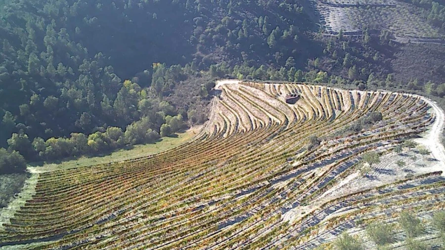 Terreno para Venda em Cedovim Foto 4