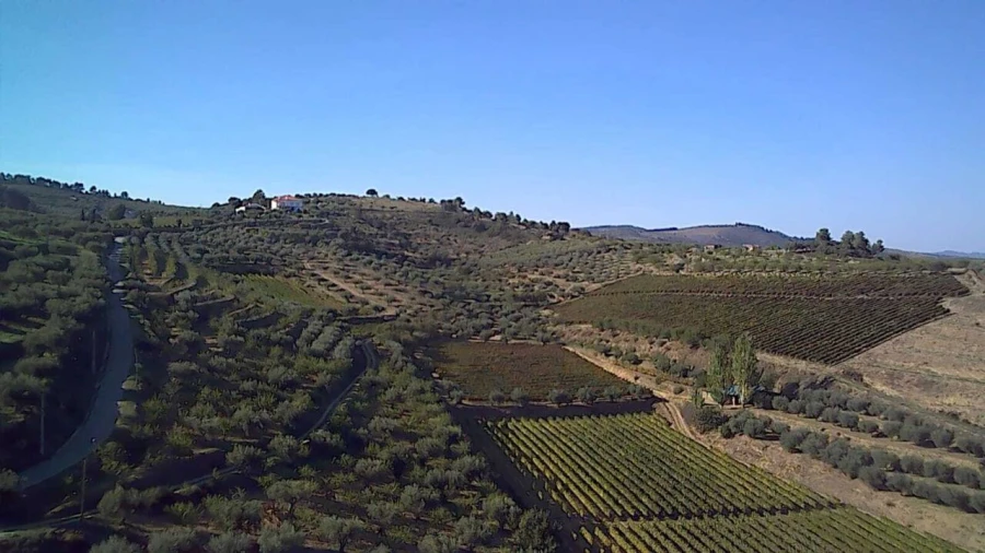 Terreno para Venda em Cedovim Foto 6