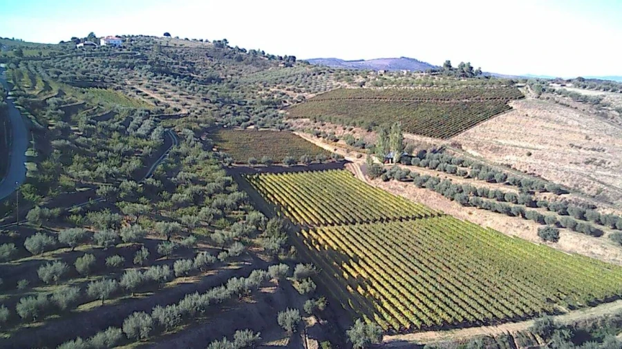 Terreno para Venda em Cedovim Foto 7