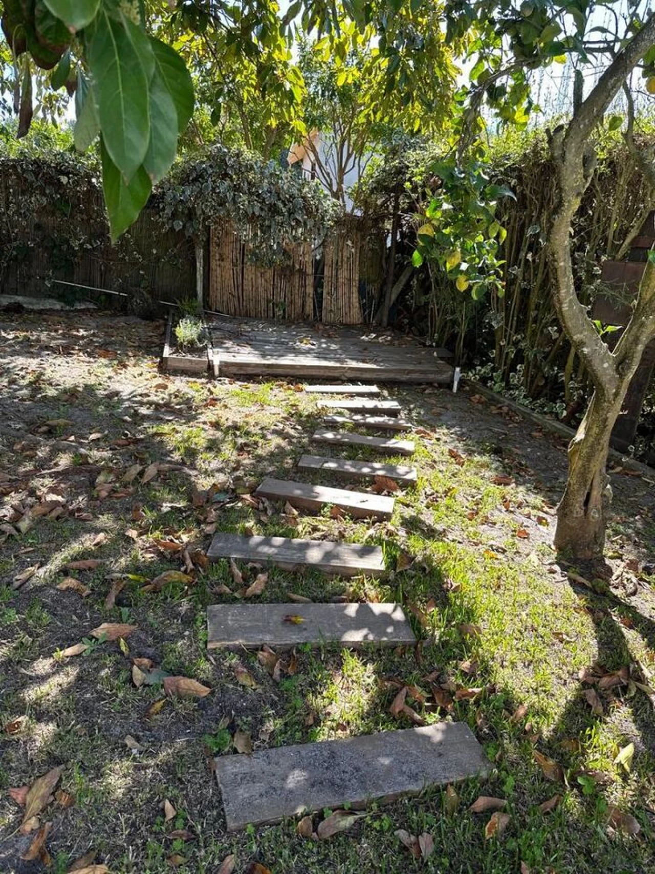 Moradia T3 para Venda em Carvalhal Foto 15