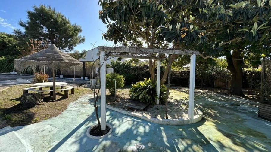 Moradia T3 para Venda em Carvalhal Foto 18