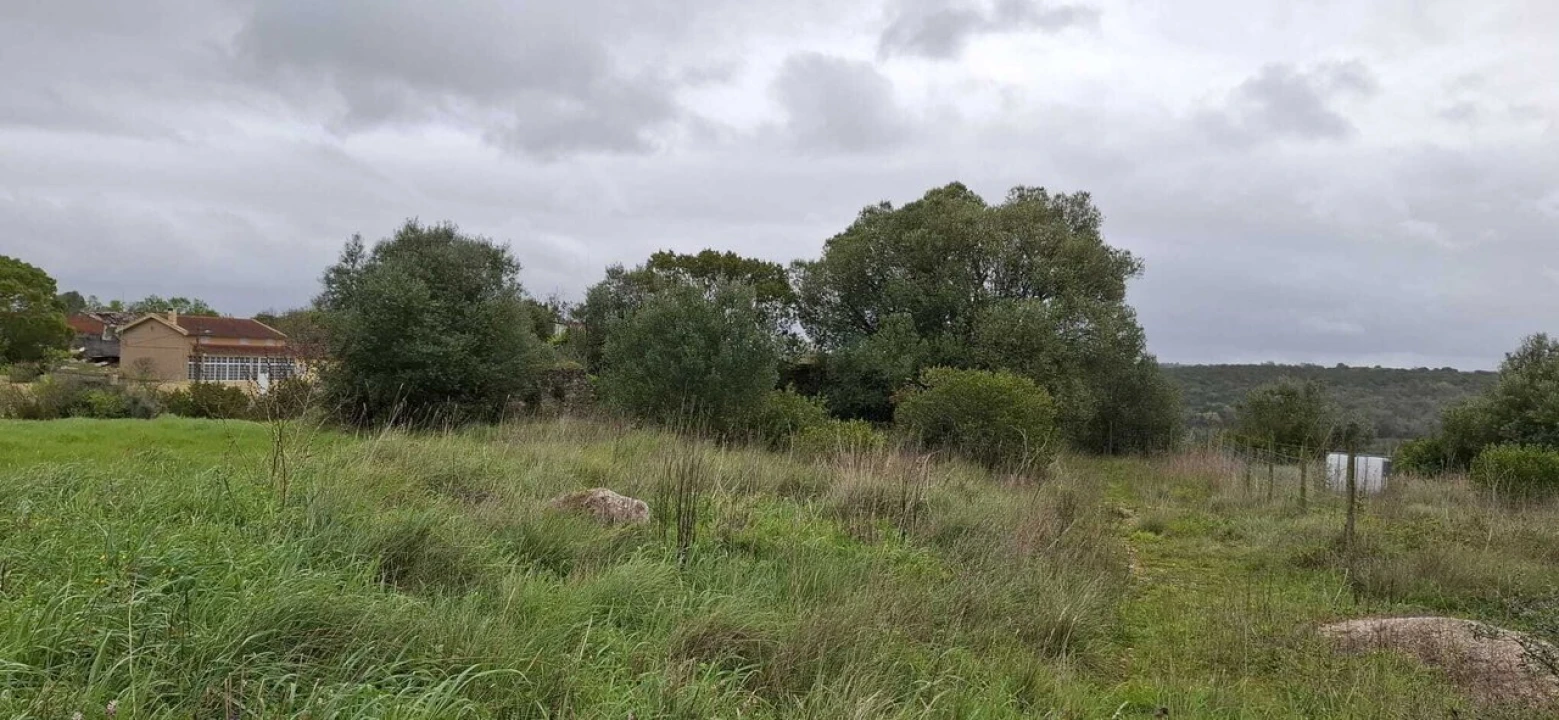 Terreno para Venda em Almoster Foto 3