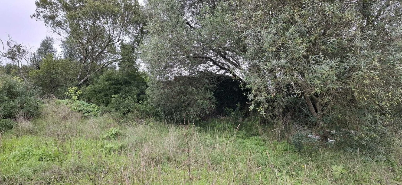 Terreno para Venda em Almoster Foto 4